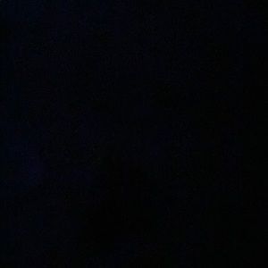 Meet your Posher, Phillip